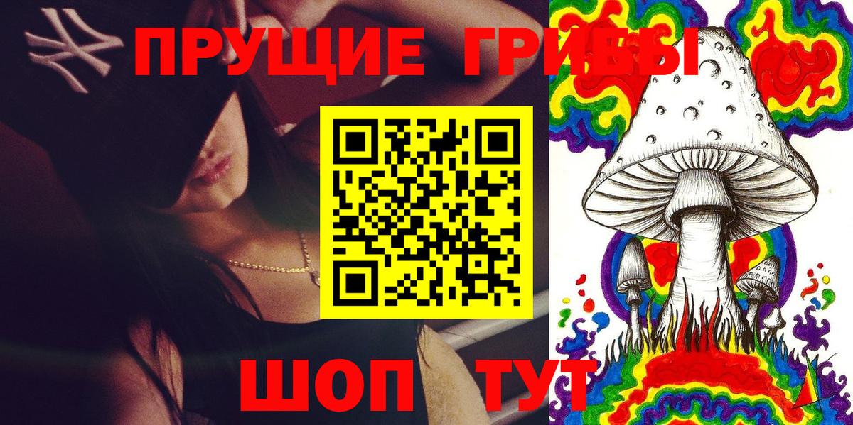 Псилоцибиновые грибы мицелий  Псилоцибиновые грибы Psilocybe  Вход с VPN  Заводоуковск 